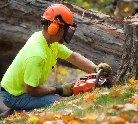 tree services Roselle